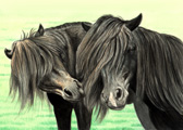 Pony, Equine Art - Black And Green